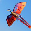 Drak Dragon Kite 160 x 140 cm