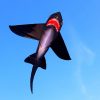 Drak  SHARK KITE www.SuperDraci.cz