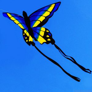 [video width="1280" height="720" mp4="https://www.supersarkany.sk/wp-content/uploads/2020/07/BUTTERFLY-KITE.mp4"][/video]