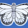 Draka motýľ si môžete vymaľovať podľa svojich predstáv. Drak má predmaľovaný vzor motýľa.